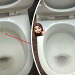 Jedan će proizvod izbijeliti WC školjku do sjaja: kako se