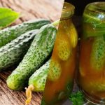 Kako prekriti krastavce u kečapu od čilija za zimu: 3